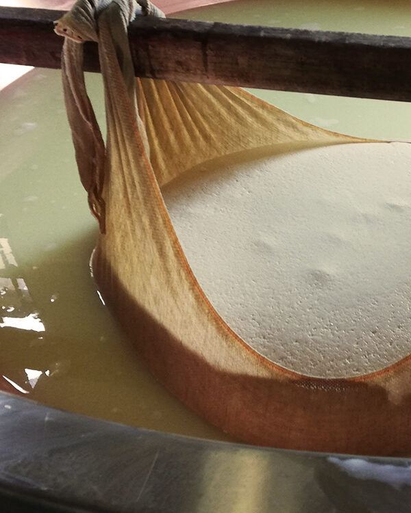 parmigiano reggiano - preparazione