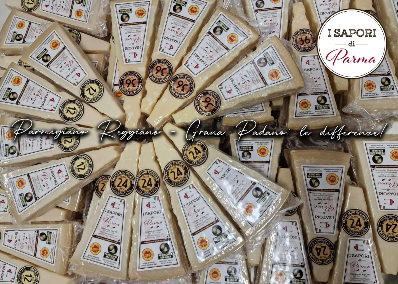 differenze Parmigiano Reggiano Grana Padano